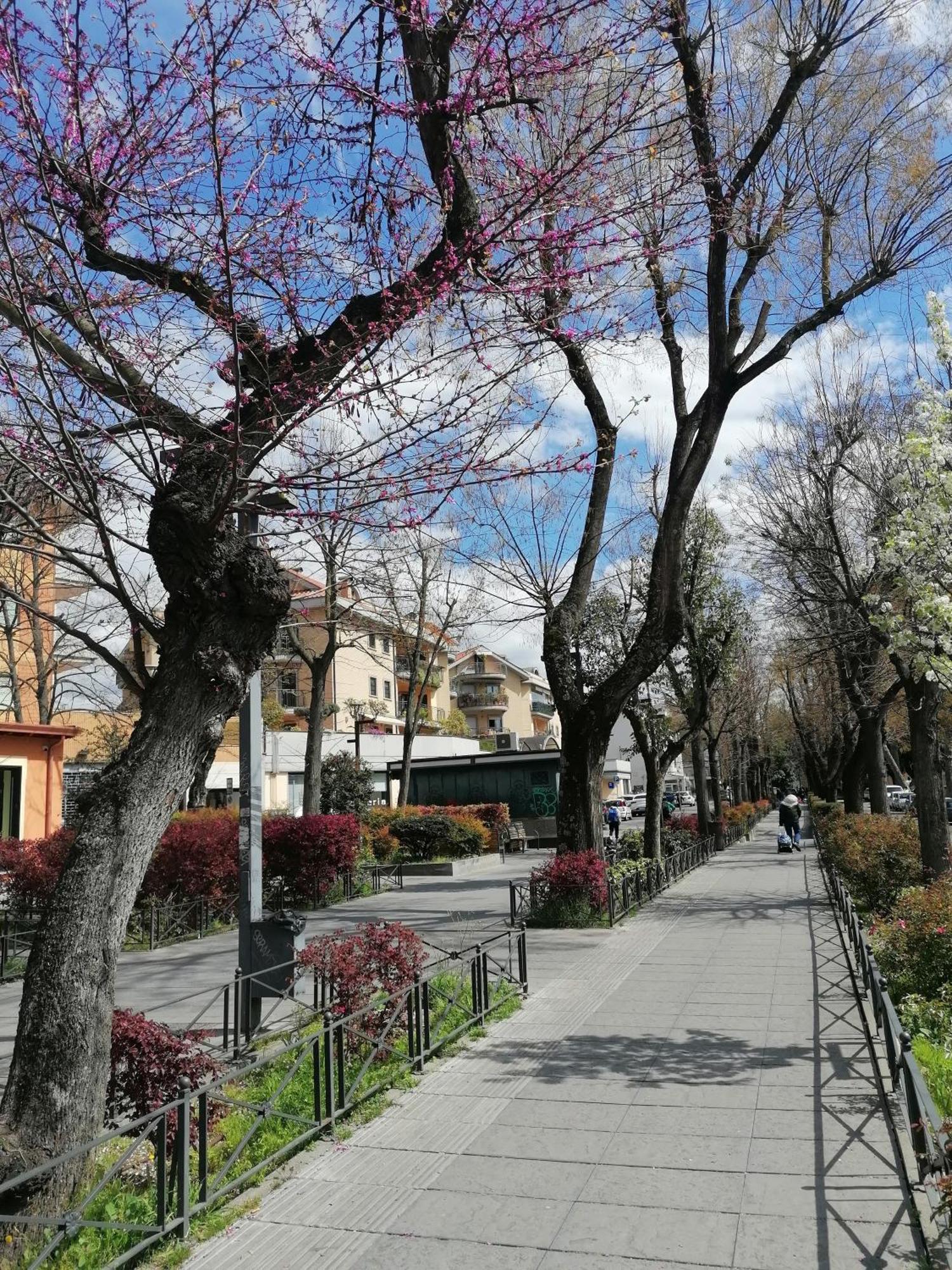 דירות מונטרוטונדו La Passeggiata מראה חיצוני תמונה